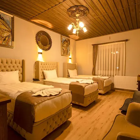 Hotel Stone House