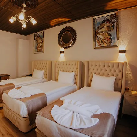 Otel Stone House